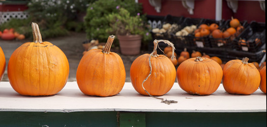 Similar image 1359058