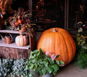 Similar image 1359060