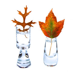 Similar image 1359061