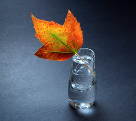 Similar image 1359062