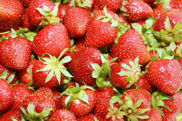 Similar image 1359081