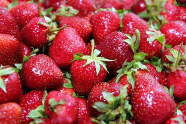 Similar image 1359082