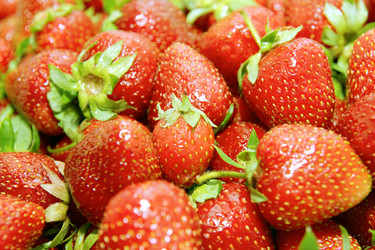 Similar image 1359086