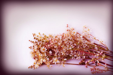 Similar image 1359089