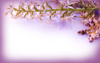 Similar image 1359090