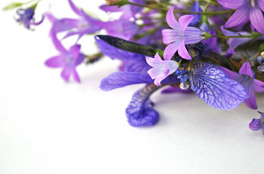 Similar image 1359091