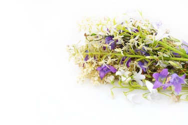 Similar image 1359092