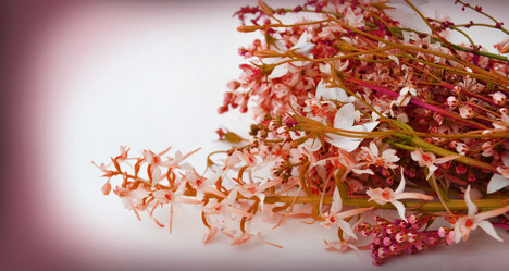 Similar image 1359093