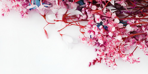 Similar image 1359095