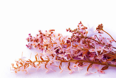 Similar image 1359098