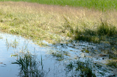 Similar image 1359742