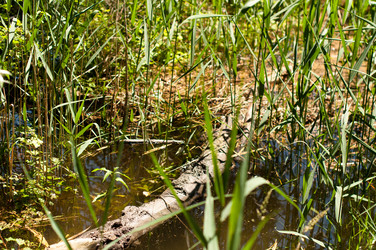 Similar image 1359764