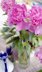 Similar image 1359780