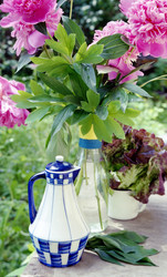 Similar image 1359843