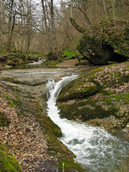 Similar image 1361122