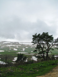 Similar image 1361124