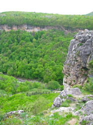 Similar image 1361128