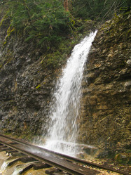 Similar image 1361137