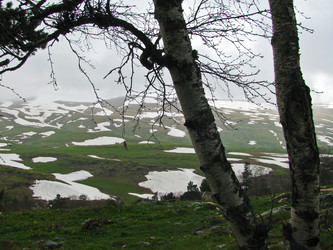 Similar image 1361161