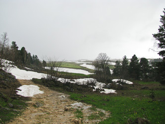 Similar image 1361162