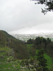 Similar image 1361165