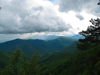 Similar image 1361169