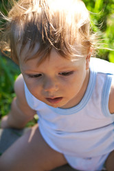 Similar image 1361412