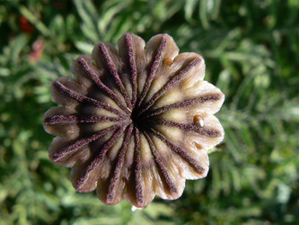 Similar image 1361419