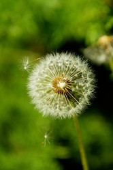 Similar image 1361698