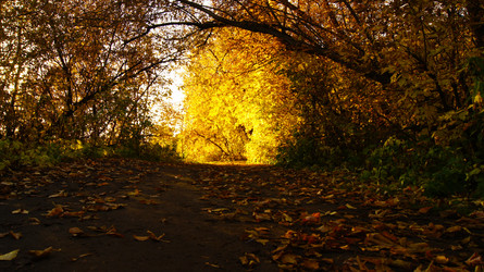 Similar image 1361699