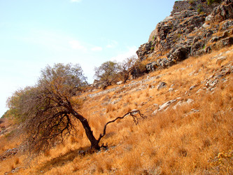 Similar image 1361961