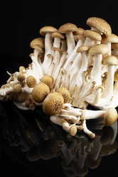 Similar image 1362106