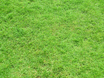 Similar image 1362269