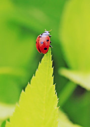 Similar image 1362380