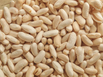 Similar image 1362438