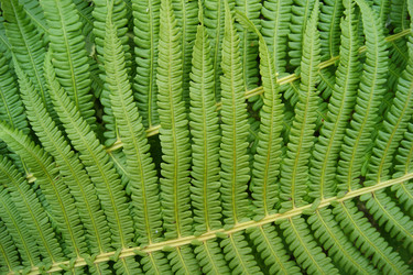 Similar image 1362521