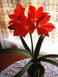 Similar image 1362541