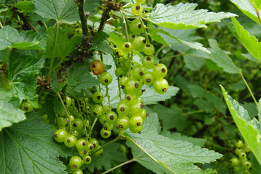 Similar image 1362600