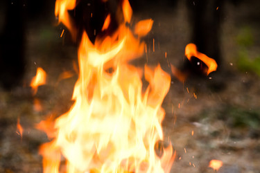 Similar image 1362620