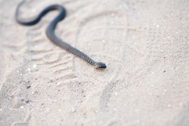 Similar image 1362621