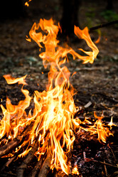 Similar image 1362622