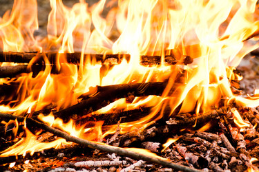 Similar image 1362624