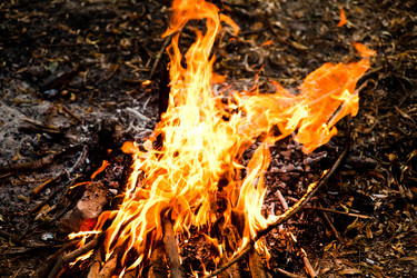 Similar image 1362625