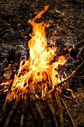 Similar image 1362626