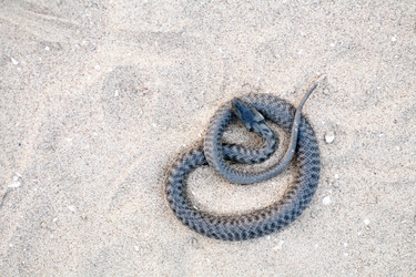 Similar image 1362646