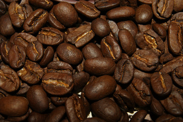 Similar image 1362658