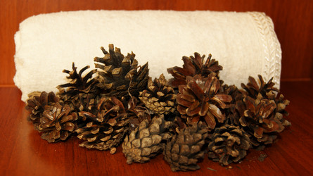 Similar image 1362659