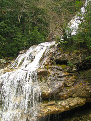 Similar image 1362765