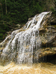 Similar image 1362843