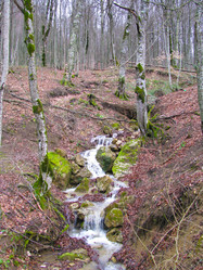 Similar image 1362851